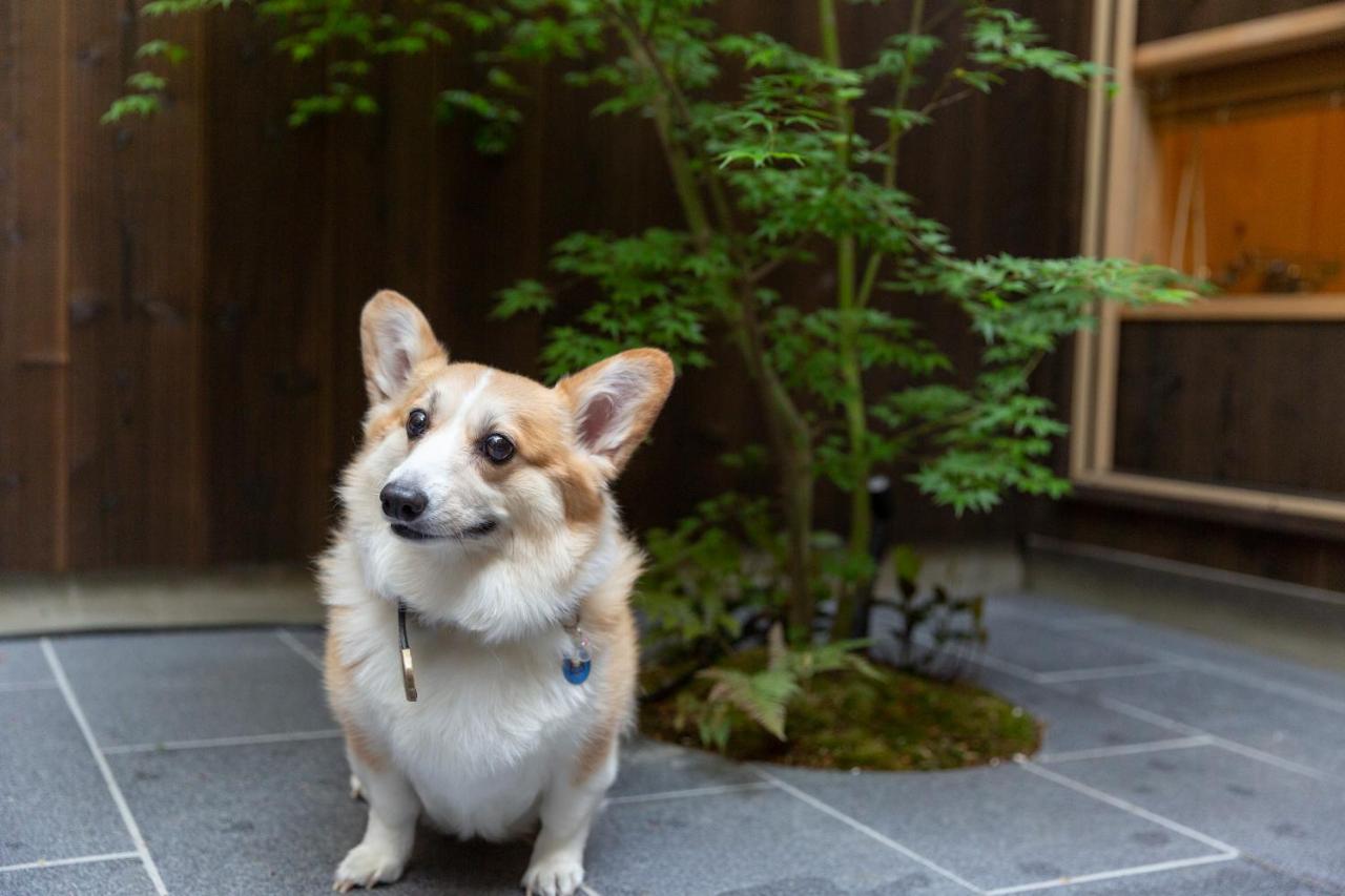 染 Sen 七条花畑 Shichijo-Hanabatake Kyoto Exteriör bild